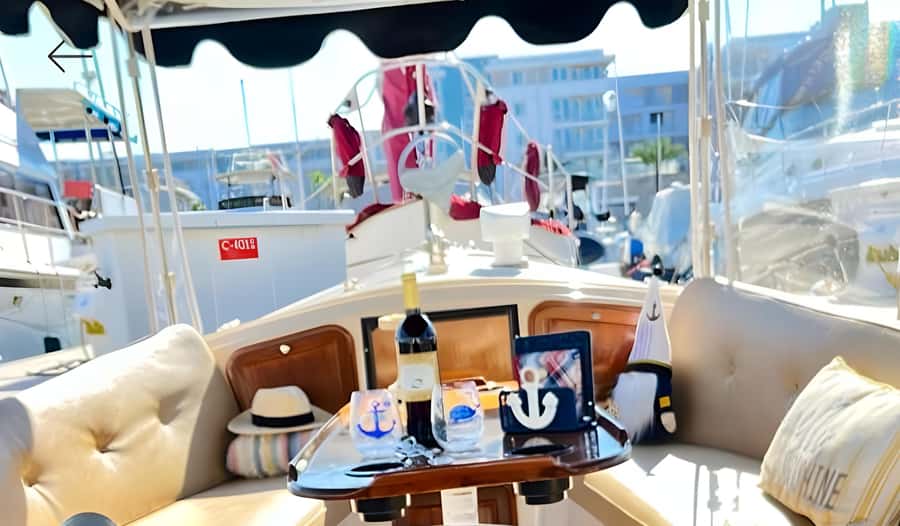 Marina Del Rey Luxury Boat Cruise Wine, Charcuterie Sealions - Meeting Captain Shaun at the dock