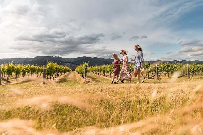 Marlborough Afternoon Wine Tour with Tastings - Why the guided tastings matter