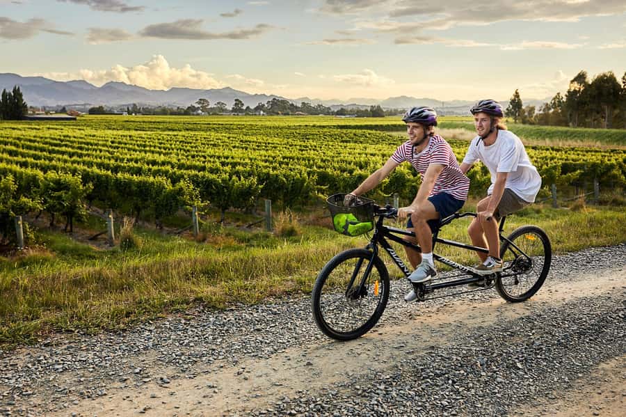 Marlborough: Full-Day Self-Guided Biking Wine Tour - Why a bicycle works so well in Marlborough