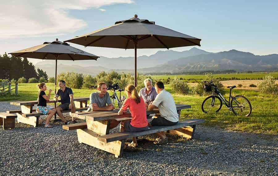 Marlborough: Full-Day Self-Guided Biking Wine Tour - Starting at The Vines Village