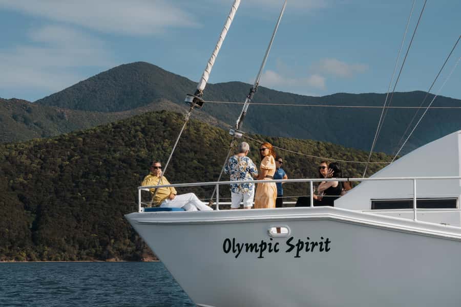 Marlborough: Full-Day Wine and Seafood Tour with Cruise - Key points to know before booking