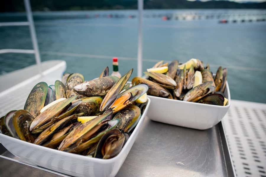 Marlborough: Full-Day Wine and Seafood Tour with Cruise - Three hours around the Queen Charlotte Sound