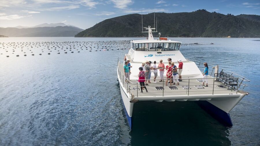 Marlborough: Full-Day Wine and Seafood Tour with Cruise - The guides make the morning feel local