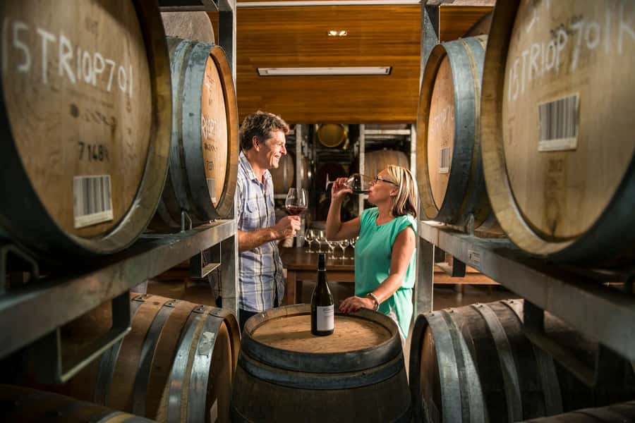 Marlborough: Full-Day Wine and Seafood Tour with Cruise - Who will enjoy this Marlborough day most