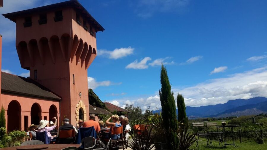 Marlborough Full Day Wine Tour - What the guides add to the day