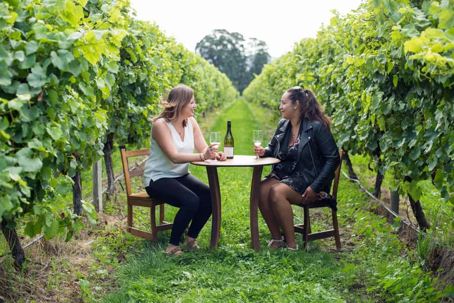 Marlborough Half Day Wine Tour From Blenheim 1.30pm - Why the small group matters