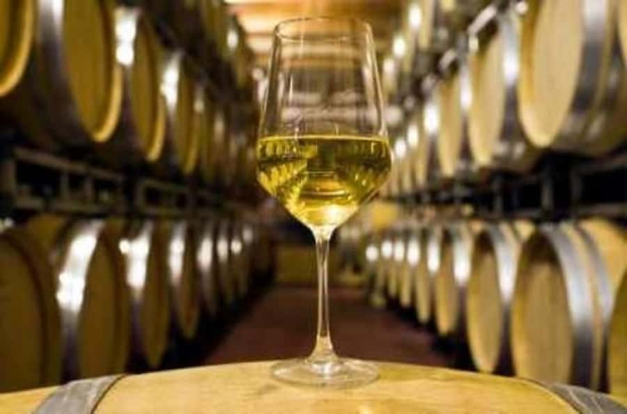 Marlborough Half-Day Wine Tour from Blenheim - Should you book the Marlborough half-day wine tour?