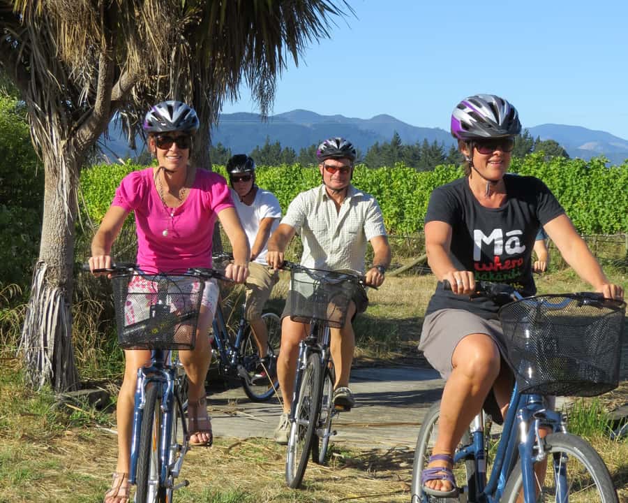 Marlborough: Half Guided and Half Self-Guided Bike Wine Tour - Three wineries by bike in the morning