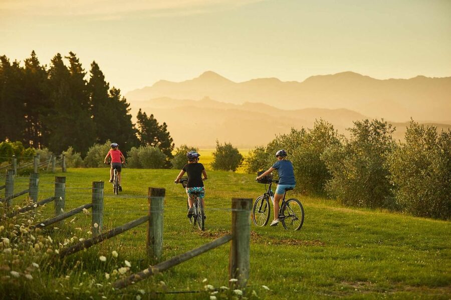 Marlborough: Half Guided and Half Self-Guided Bike Wine Tour - The $110 price and what you receive