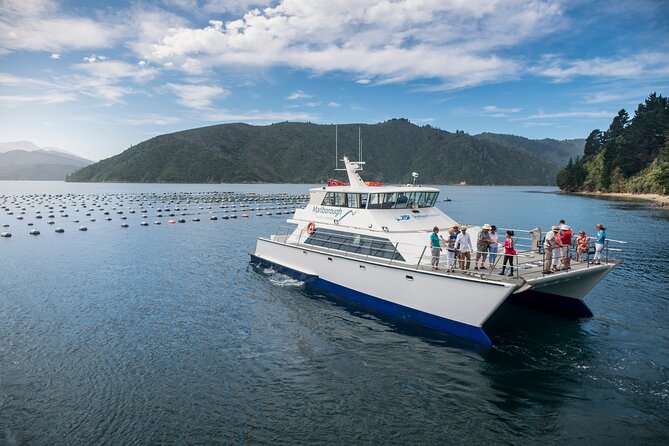 Marlborough Icons Tour - Wine tasting + Cruise - Queen Charlotte Sound provides the afternoon change of pace
