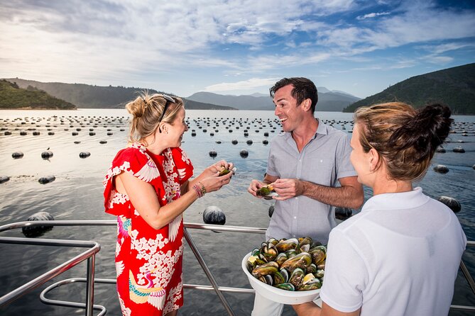 Marlborough Icons Tour - Wine tasting + Cruise - Practical booking advice