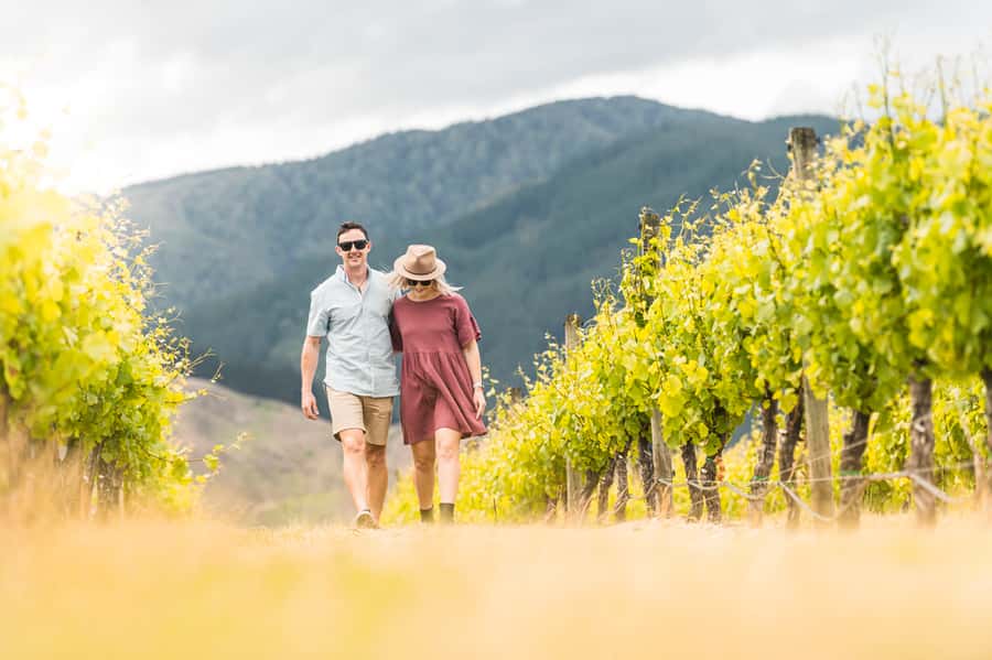 Marlborough: Wineries Visit and Tasting Session - What the tasting sessions are like