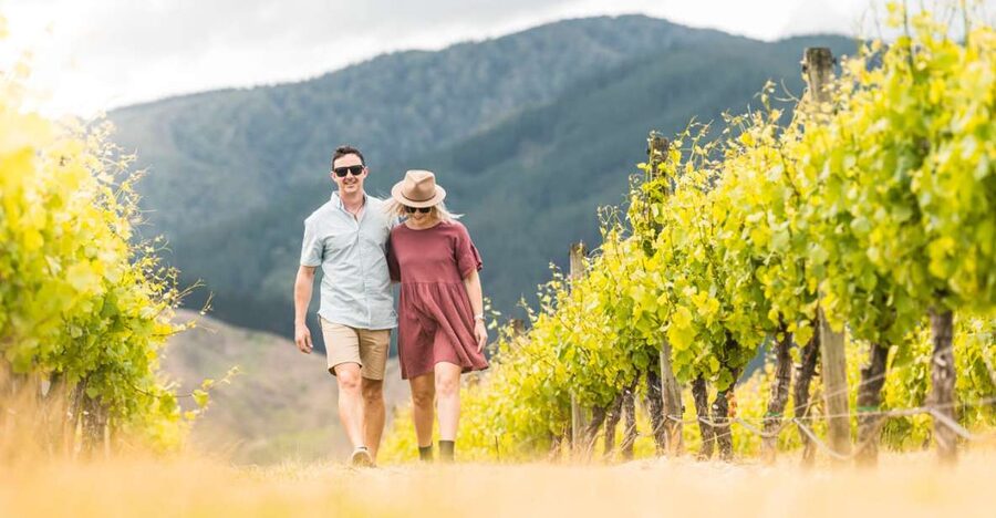 Marlborough: Wineries Visit and Tasting Session - The guides make a real difference