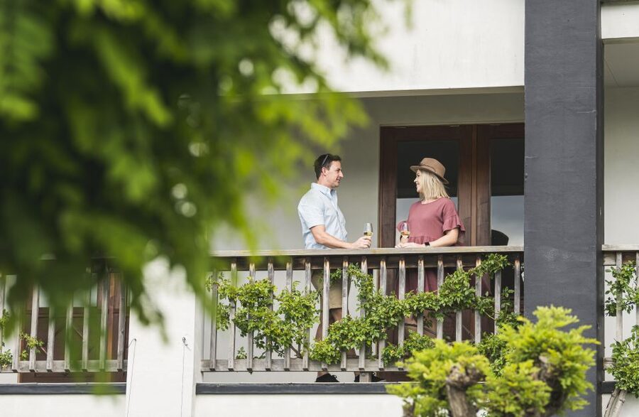 Marlborough: Wineries Visit and Tasting Session - Who will enjoy this afternoon most?