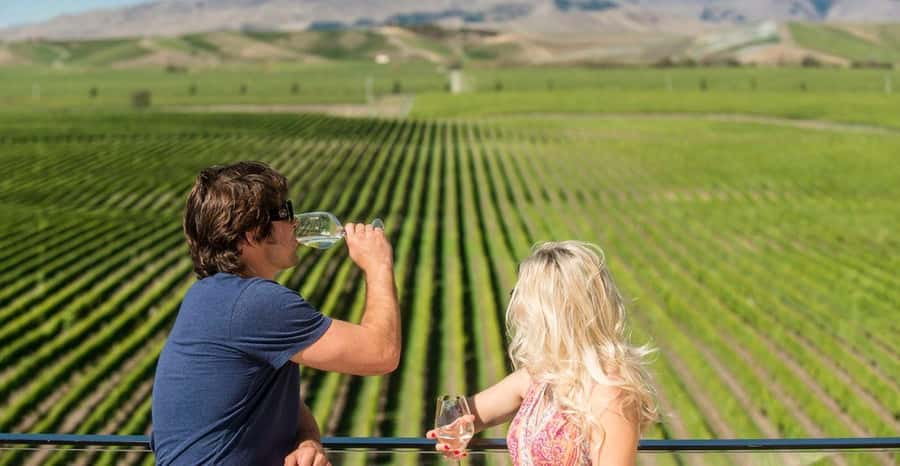 Marlborough: Wineries Visit and Tasting Session - My practical plan for the day