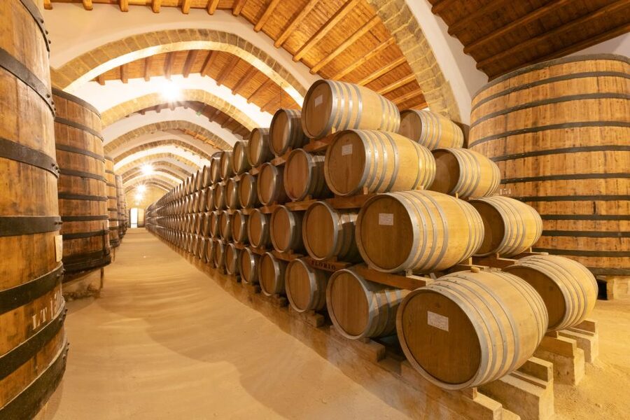 Marsala: Florio Winery Tour with Local Wine Tasting - Key points to know before you book