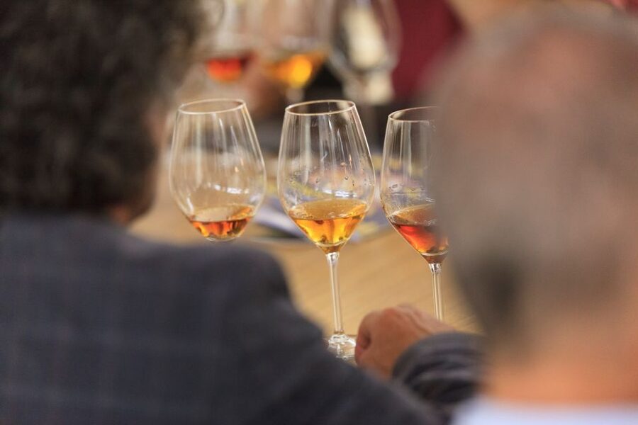 Marsala: Florio Winery Tour with Local Wine Tasting - Who will enjoy this winery tour most