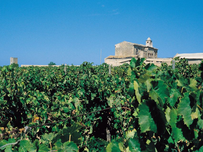 Marsala: Winery Tour with Wine Tasting and Local Products - Key points to know before booking