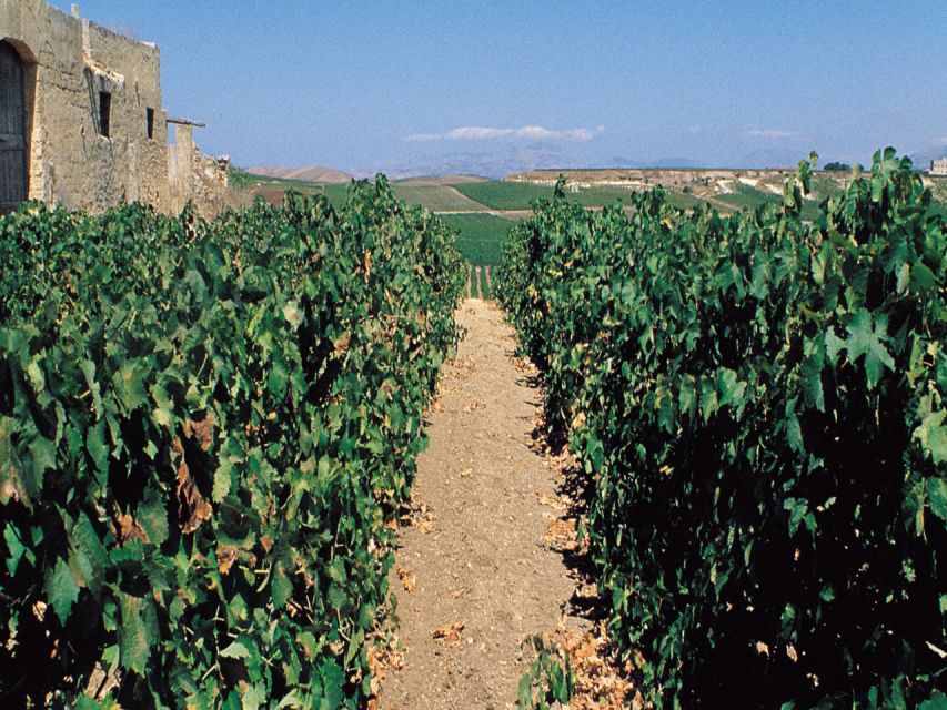 Marsala: Winery Tour with Wine Tasting and Local Products - Tasting Marsala DOC wines
