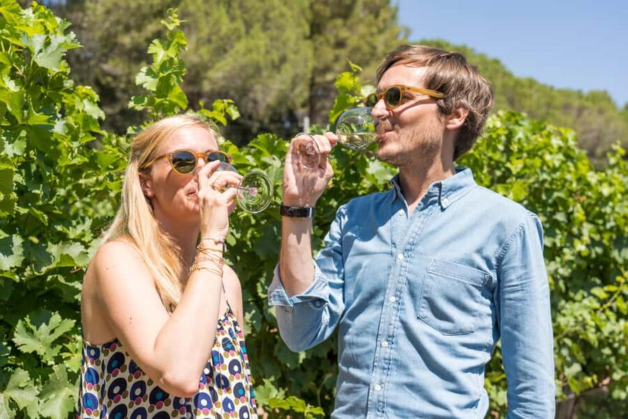 Marseille: Highlights & Wine Tasting Day Tour - From the fish market to Marseille’s southern side