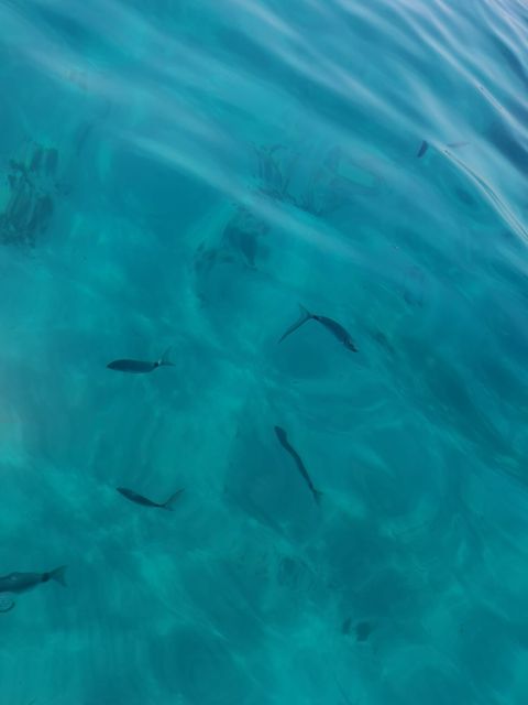 Marseille: Sunset Boat Cruise with Rosé Wine & Snacks - The Frioul Archipelago and the swim stop