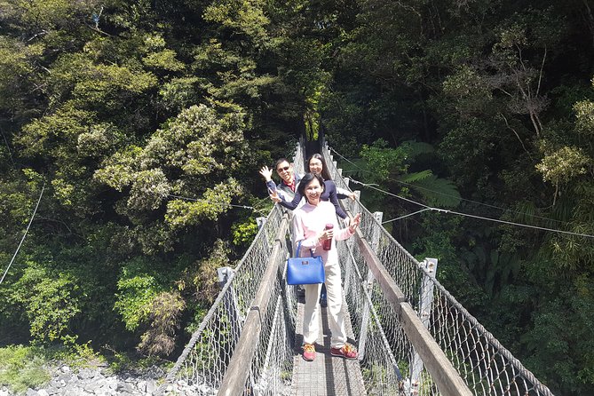 Martinborough Wine and Wild Coast Tour from Wellington - Why this Wellington day trip works so well