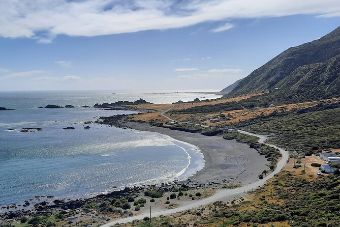 Martinborough Wine and Wild Coast Tour from Wellington - Kaitoke Regional Park and the Remutaka crossing