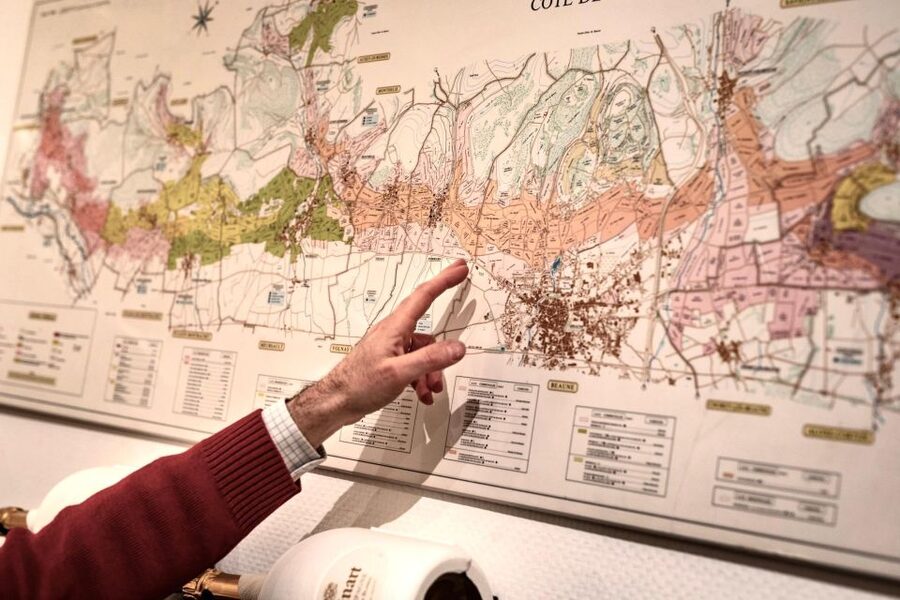 🍷 Masterclass Pinot Noir - Wine tasting in Dijon 🇫🇷 - Climats, terroir, and the UNESCO connection