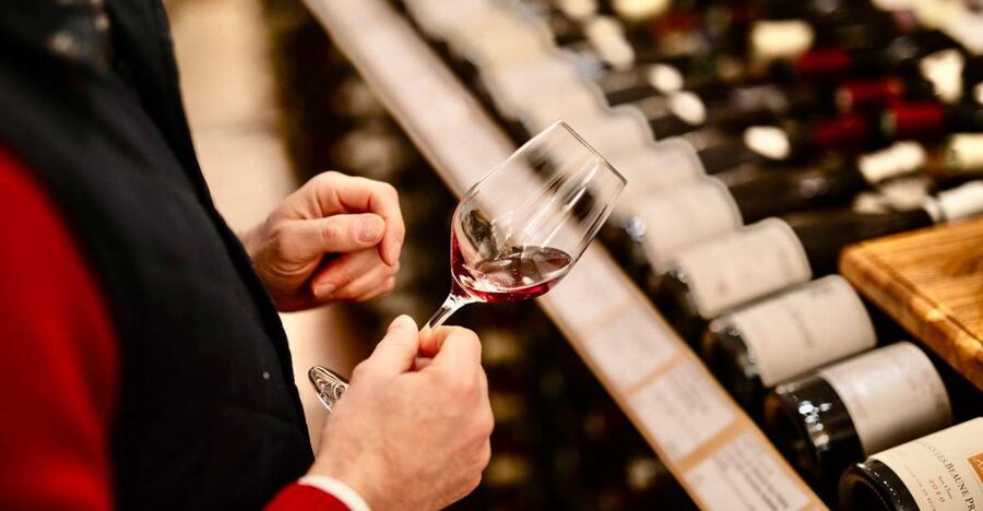 🍷 Masterclass Pinot Noir - Wine tasting in Dijon 🇫🇷 - Who will enjoy this Dijon tasting most?