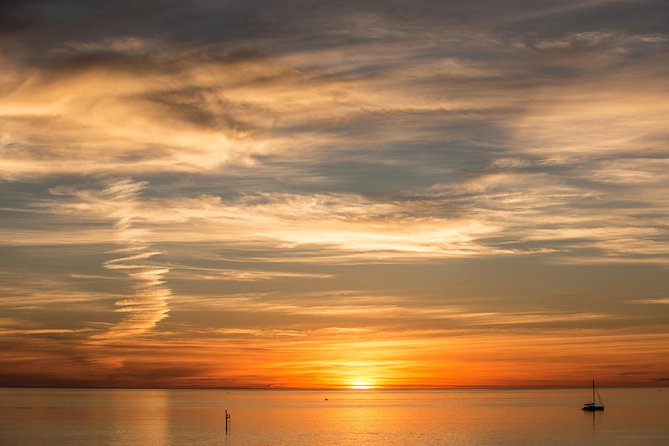 McLaren Vale and Glenelg Wine Tasting and Sightseeing (Half-day Afternoon) - What the $63.83 price gets you