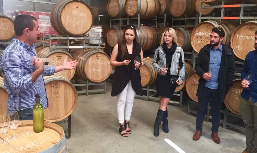 McLaren Vale: Small Group Wine Tour (Includes Lunch) - Why McLaren Vale works so well for a flexible wine day