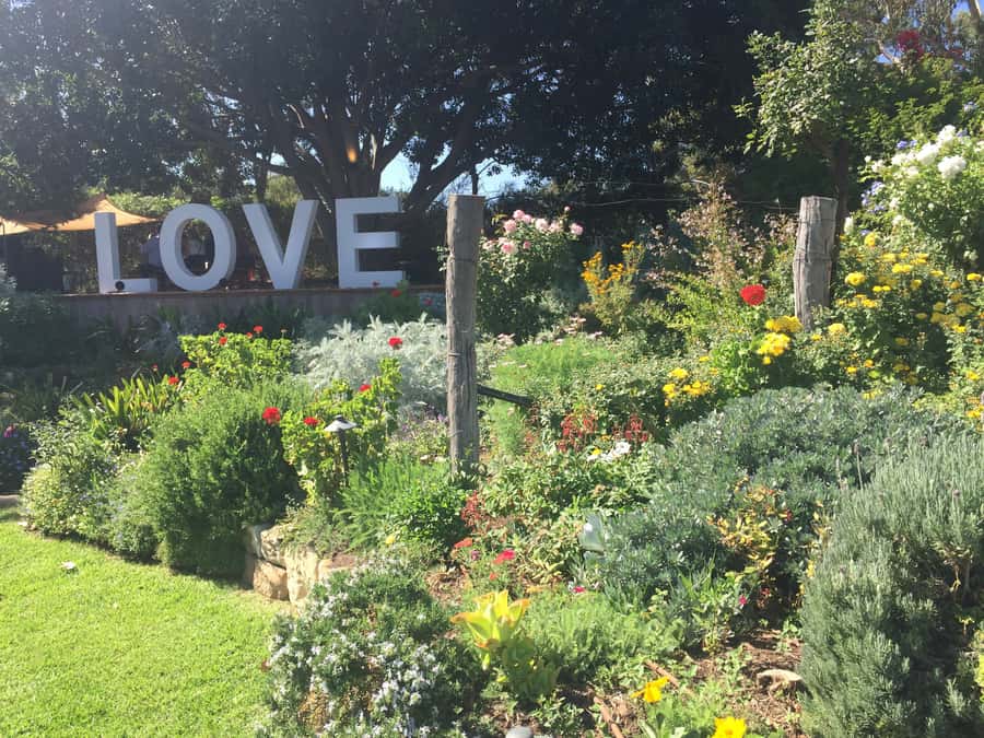 McLaren Vale: Small Group Wine Tour (Includes Lunch) - The optional change of pace: gin or beer