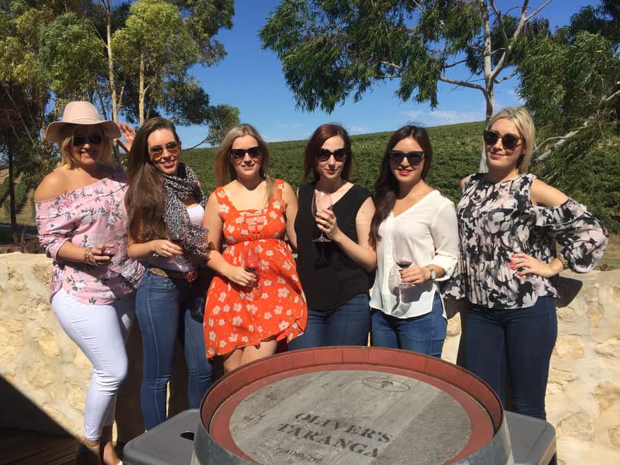 McLaren Vale: Small Group Wine Tour (Includes Lunch) - Understanding the $138 price