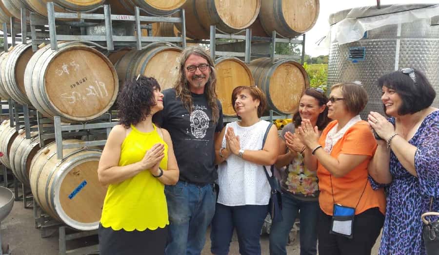 McLaren Vale: Small Group Wine Tour (Includes Lunch) - The people who will get the most from this tour