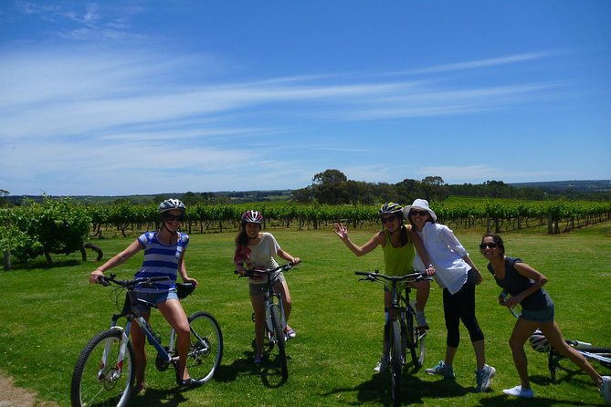 McLaren Vale Wine Tour by Bike - Winery stops with a smaller local feel