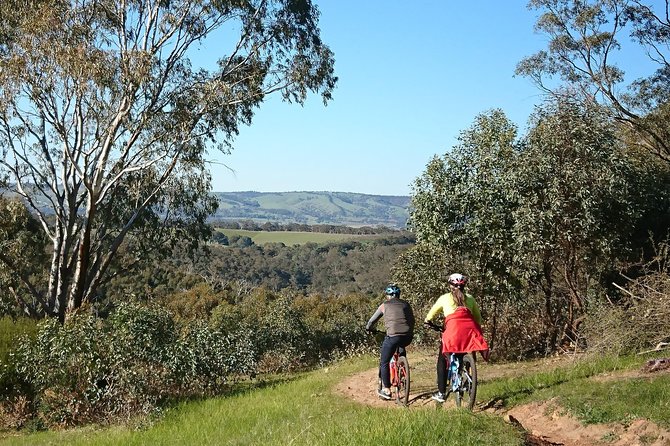 McLaren Vale Wine Tour by Bike - A farm-style lunch in the middle of the day
