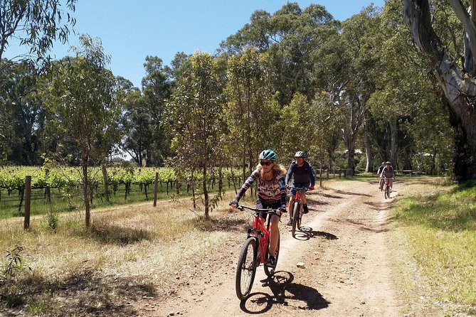 McLaren Vale Wine Tour by Bike - The final stop and the ride back