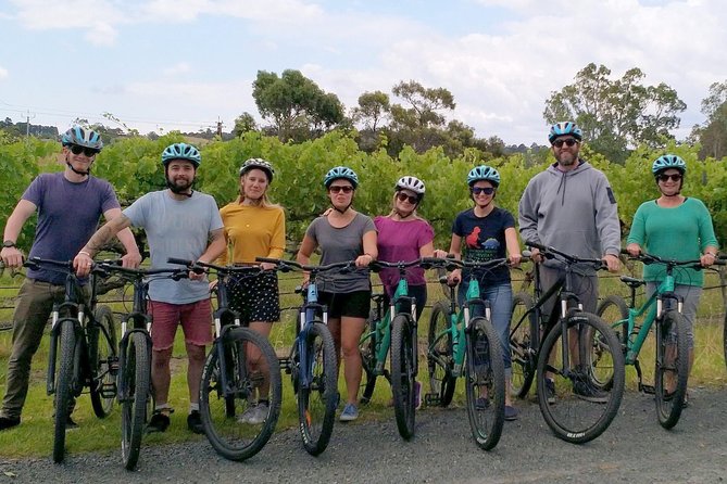 McLaren Vale Wine Tour by Bike - Who will enjoy it most