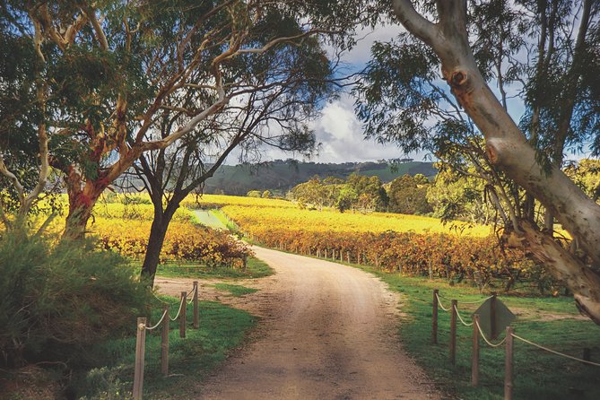 McLaren Vale Winery Small Group Tour with Wine Tasting and Lunch - The coastal road from Adelaide to McLaren Vale