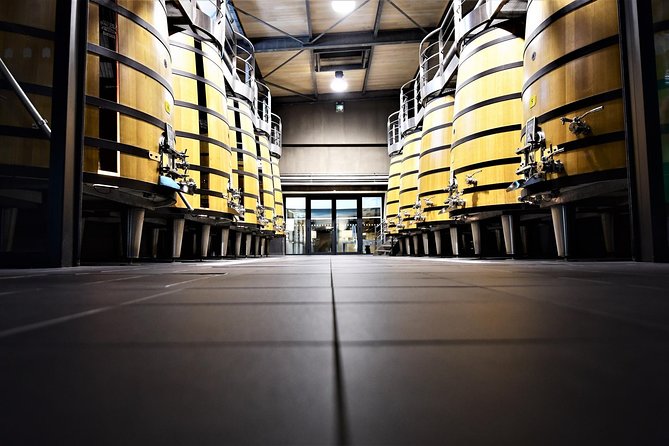 Medoc Afternoon Wine Tour - 2 Wineries, tastings & delicacies - Practical details that matter