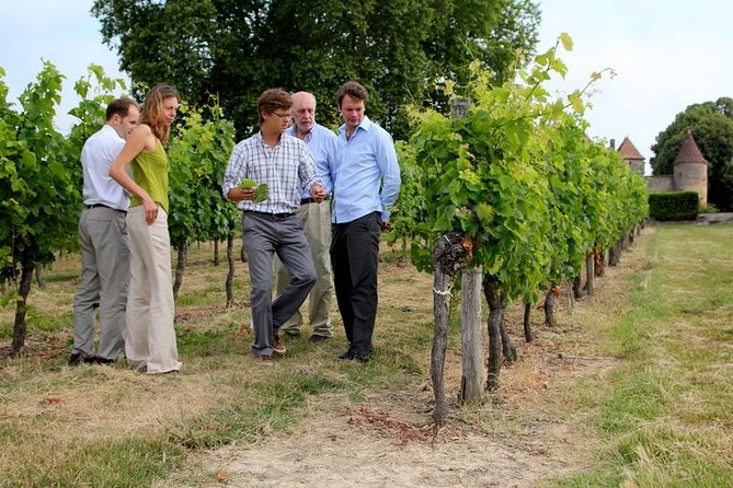 Medoc or Saint Emilion Wine Tasting and Chateau from Bordeaux - Choosing Médoc and its château road