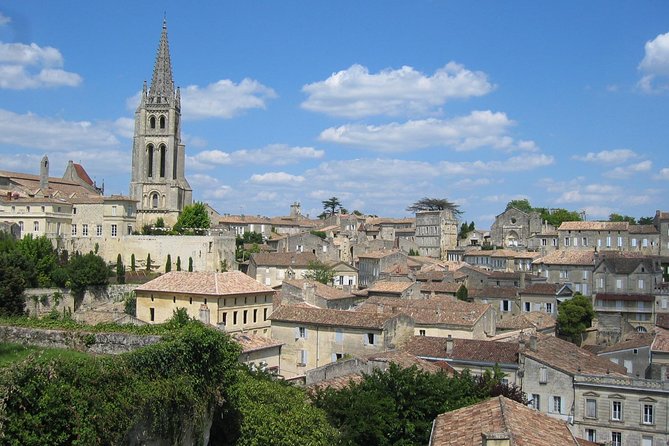 Medoc or Saint Emilion Wine Tasting and Chateau from Bordeaux - Wine tastings and the food pairing