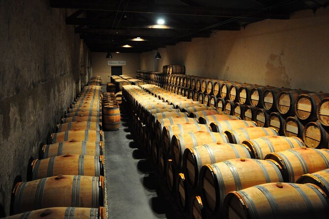 Medoc Region Wine Day Trip with Vineyard Visits & Tastings from Bordeaux - The final classified growth or Crus Bourgeois stop