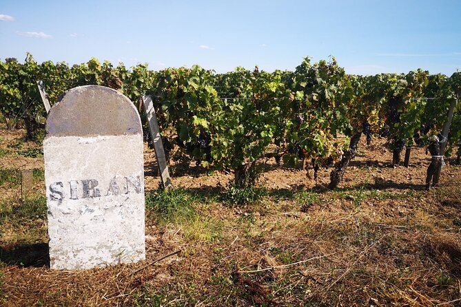 Medoc Region Wine Day Trip with Vineyard Visits & Tastings from Bordeaux - The guide matters more than the minivan