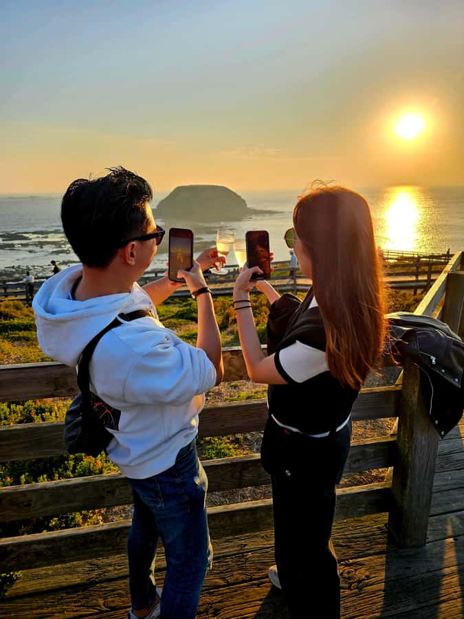 Melbourne: Boutique Phillip Island Wine, Dine & Penguin Tour - Meeting at the Arts Centre with coffee
