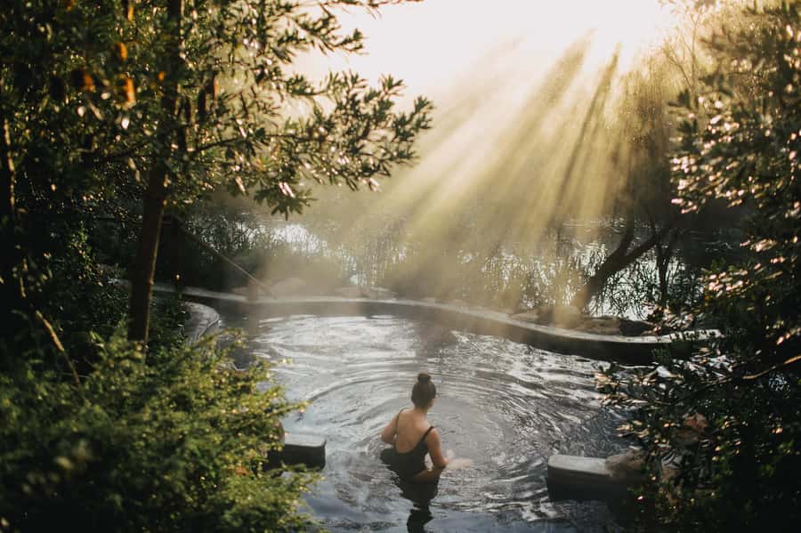Melbourne: Peninsula Hot Springs with Lunch and Wine - The return to Melbourne