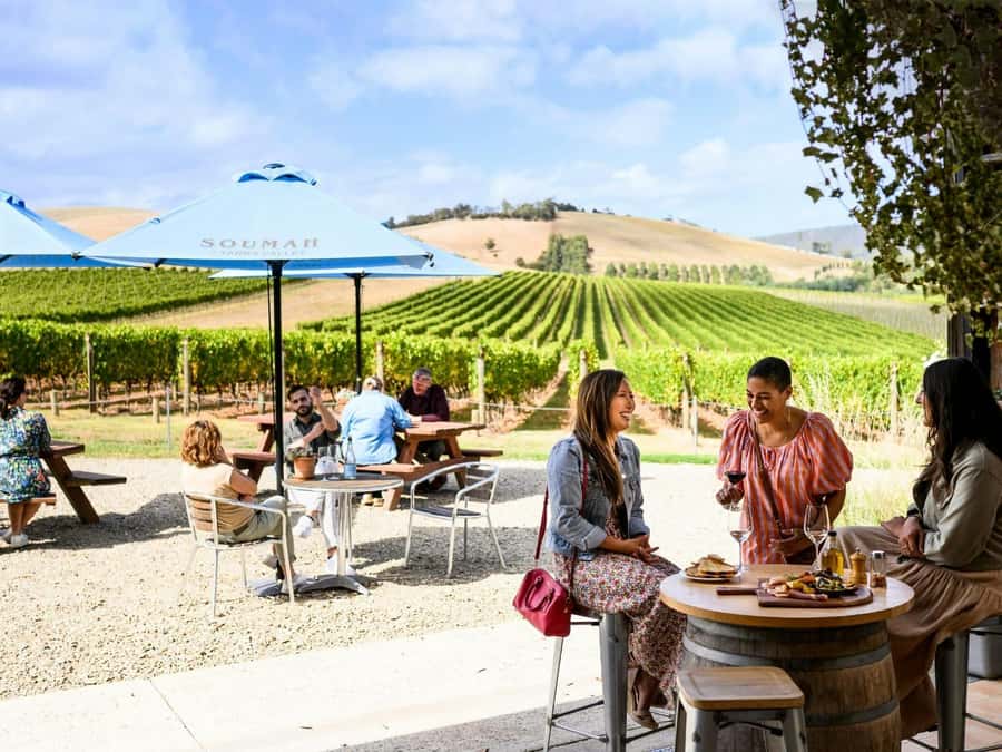 Melbourne: Yarra Valley Half-Day Wine Tour - Key points at a glance