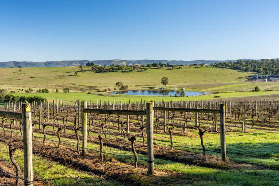 Melbourne: Yarra Valley Wine, Cider, Gin, Beer, & Choc Tour - The important points at a glance