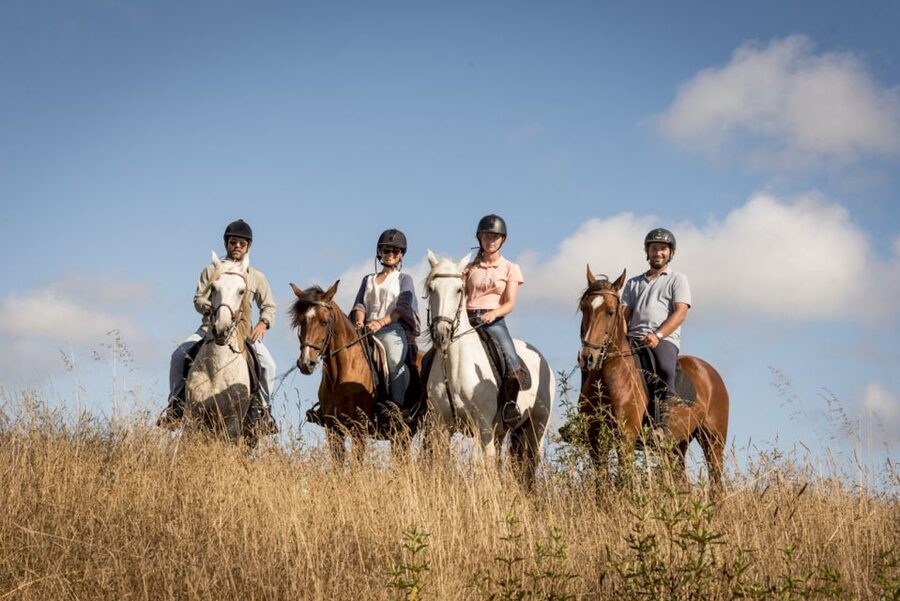 Melides: Horse Riding on the Beach with Wine Tasting - From Lisbon to the Melides Meeting Point