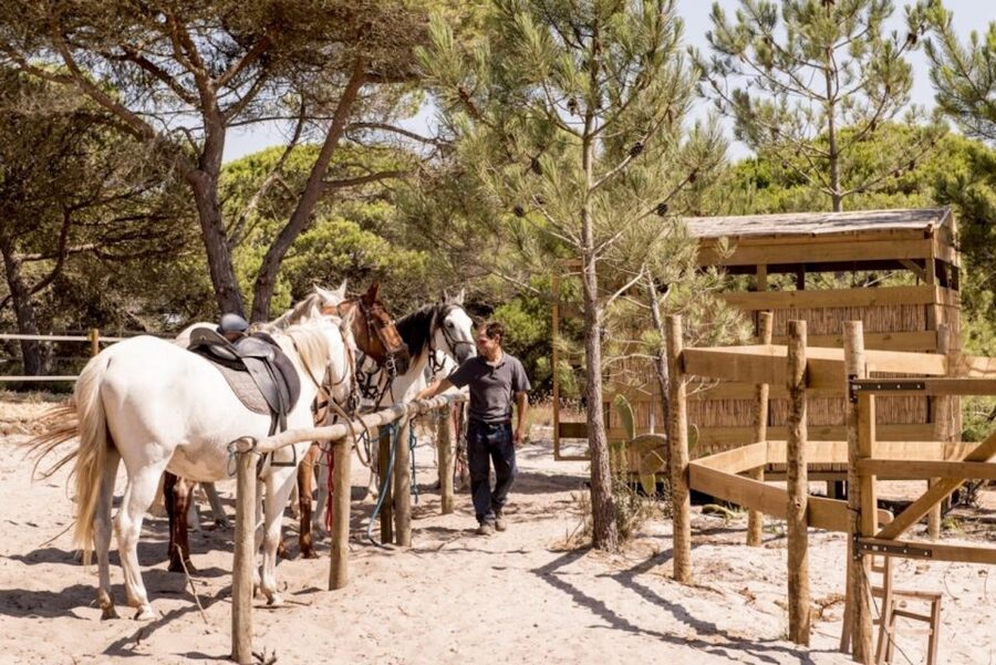 Melides: Horse Riding on the Beach with Wine Tasting - Meeting the Horses and Starting Through the Pine Forest